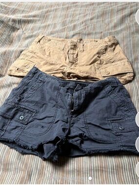 American Eagle Outfitters Brown Cargo Shorts